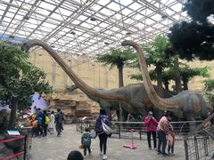 -国家自然博物馆