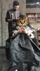 -发饰美男士增发补发假发定制店