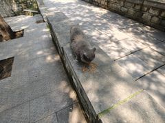 -四门塔风景区