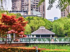 -新虹桥中心花园