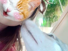 -Husky Go! 哈士奇体验馆·宠物咖啡厅狗咖