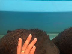 -尼莫海豚馆