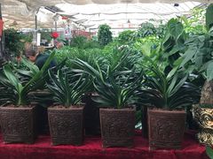 -秦美花卉(天朗·莱茵小城2期店)
