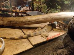 -多彩贵州城极地海洋世界