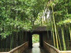 -天一阁博物院