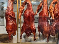 -顺城金记卤鸡·清真