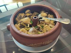 -明珠湖天鹅苑·农家菜馆