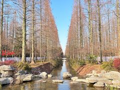 -东平国家森林公园