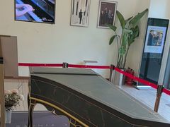 -刘健艺术钢琴学校·专注钢琴教育25周年(徐家汇校区)
