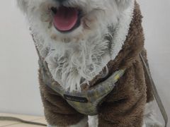 -安安宠医·臻爱宠物医院·宠保定点(营门口路分院)