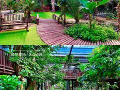 -呀路古热带植物园
