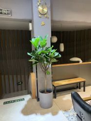 点击看大图 -阿莲新妆护肤造型