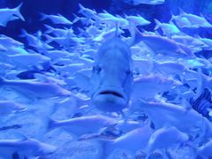 -成都浩海立方海洋公园