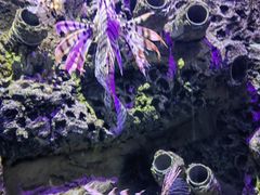 -太平洋海底世界