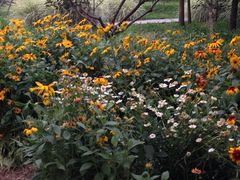 iphone_upload_pic-昆山城市生态森林公园