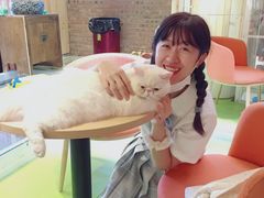 -平行世界·猫咖(首经贸店)