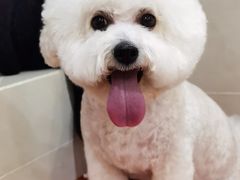 -艾贝尔宠物医院·24H转诊中心·肿瘤猫专科(江宁双龙店)
