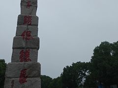 -中国扬子鳄村