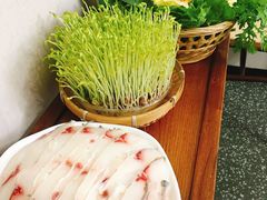活体豆苗-廣順興(平原路店)