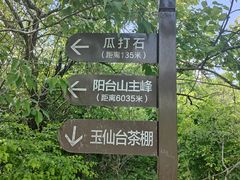 -阳台山自然风景区