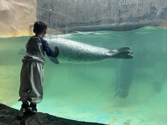 -蓬莱欧乐堡海洋极地世界