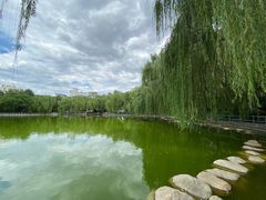 -莲湖公园