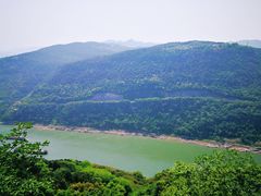 -铁山坪森林公园