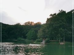 -紫霞湖公园