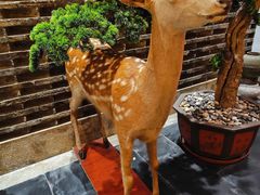 -健眺小海鲜(临海后山店)