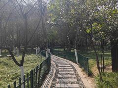 -西安市长乐公园