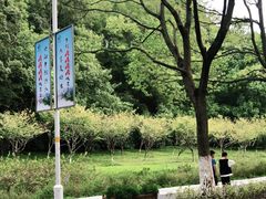 -汤山公园