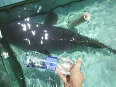 -渔民新村(番禺总店)