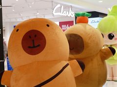 -盛京大奥莱(沈阳奥体店)