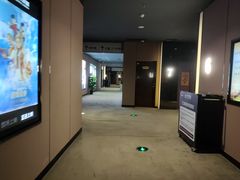 -苏宁影城(激光沙发)