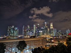 -新加坡文华东方酒店