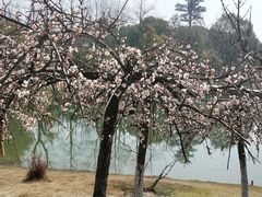 -白塘生态植物园