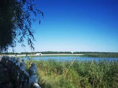 -呼兰河口湿地公园