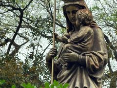 -圣约瑟夫大教堂