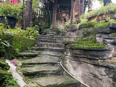 -丁丁厨娘