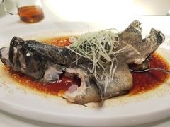 清蒸石斑鱼-鱼乐轩·俄罗斯海鲜直供餐厅(群力店)