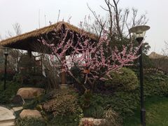 -苏州湾王焰温泉度假酒店