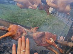-堤边美食