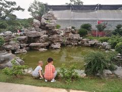 -呼吸森林·生态农庄农家乐私房菜