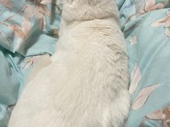 -风味烧烤(泰富店)