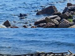 -深圳湾公园(南山区)