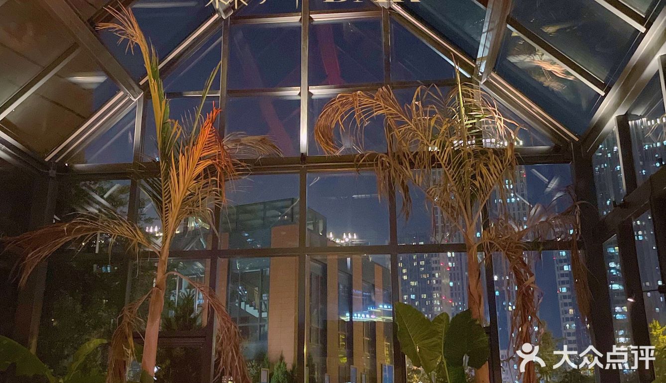 首家森系餐Bar森林里缀满星光皆是你