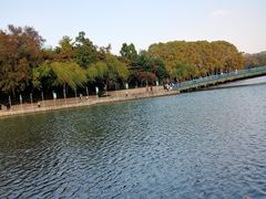 景点-红梅公园