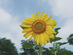 -钟山体育运动公园