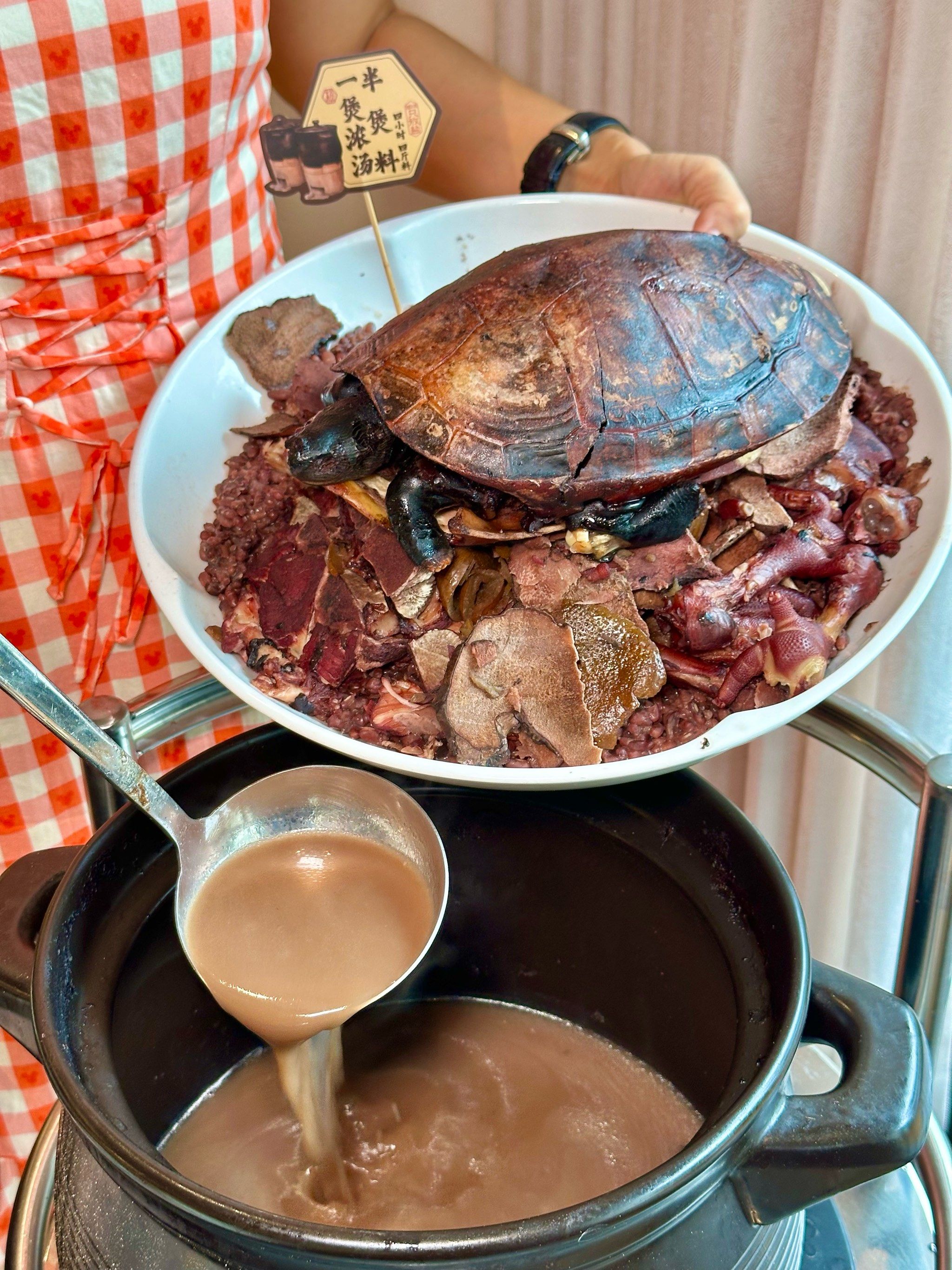 就为了这一口龟汤