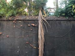-乌山风景区